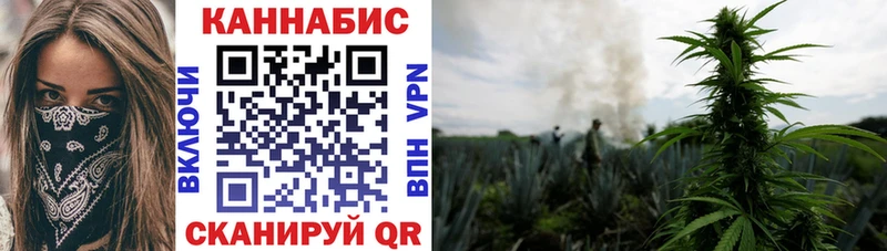 Где купить наркотики Кадников Марихуана  A-PVP  Меф мяу мяу  COCAIN 