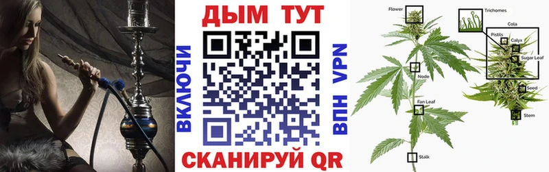 Марихуана тримм  купить наркоту  Кадников 